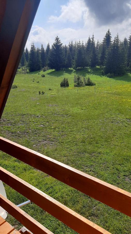 Willa House Bojana Žabljak Zewnętrze zdjęcie